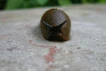 Snigel En brun snigel.