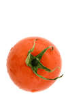 Filename=tomat_vit.jpg
Filesize=156KiB
Dimensions=800x1200
Date added=Mar 11, 2007 tomat_vit.jpg