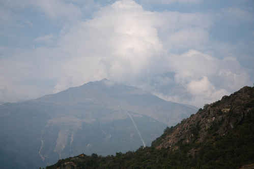 Alperna