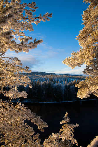 Vinter