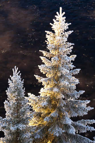 Vinter