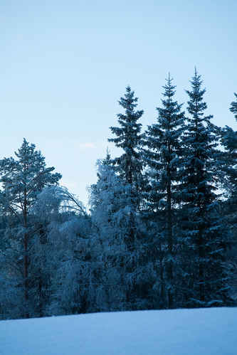 Vykort alvdalen2008