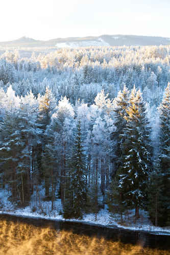 Vinter