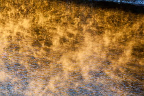 Vinter
