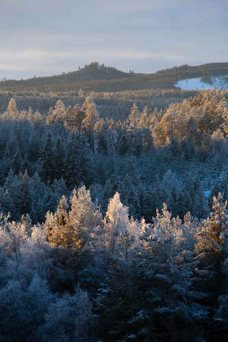 Vinter