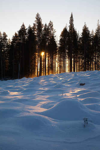 Vinter