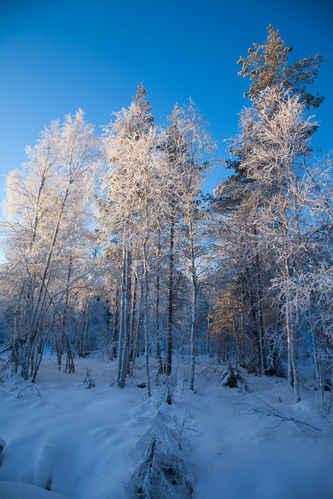 Vykort alvdalen2008