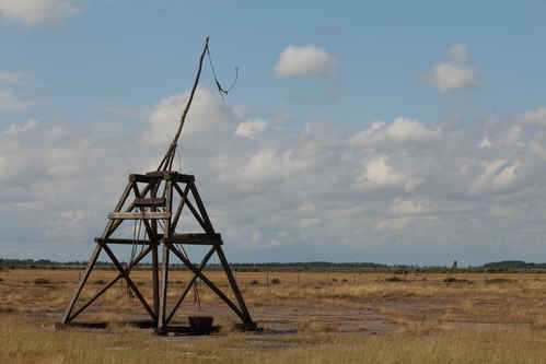 Dragkraftslunga