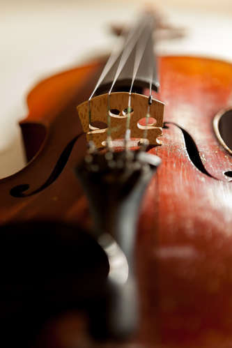 Violin