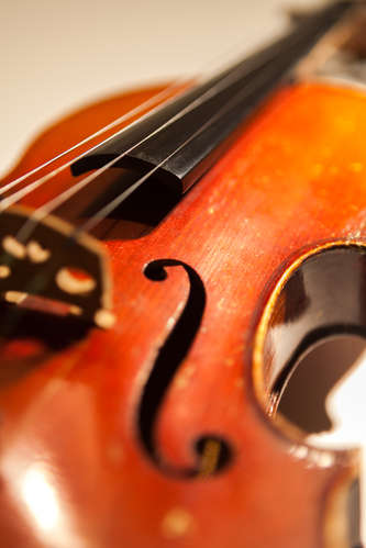 Violin