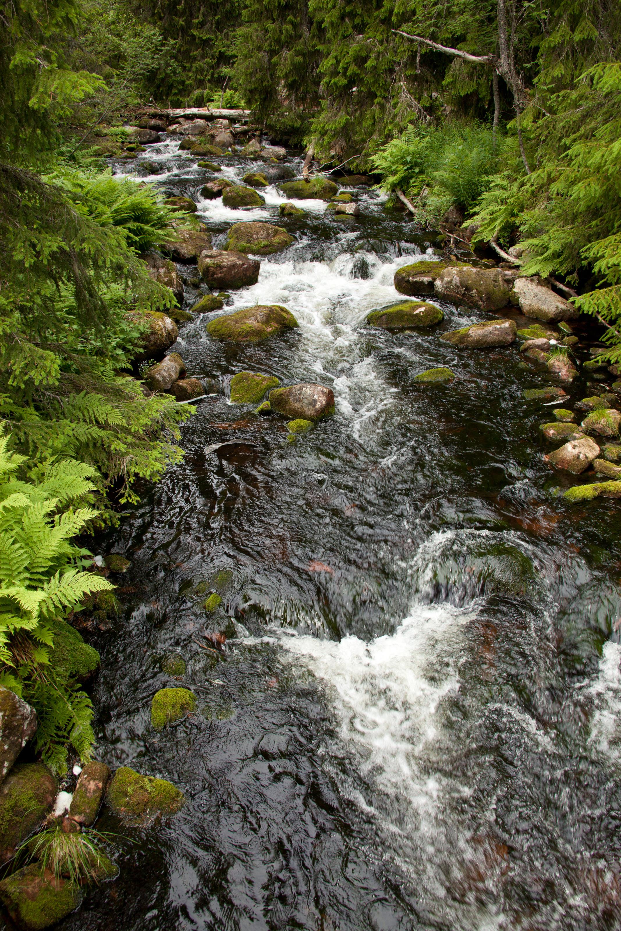 fulufjallet100715-16.jpg