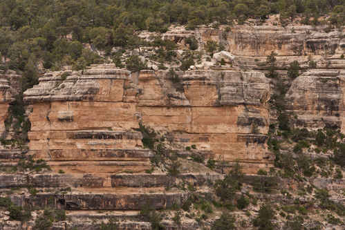 Närbild vid Grand Canyon
