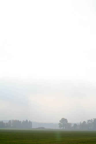 Gratis bilder