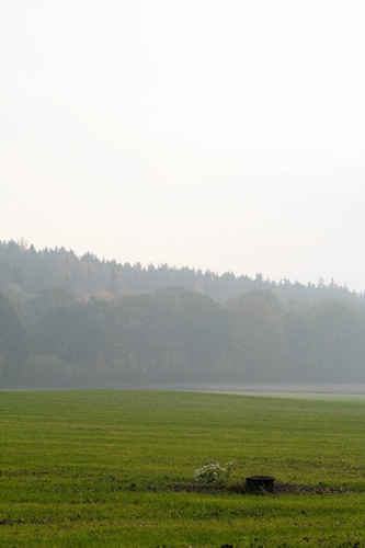 Gratis bilder