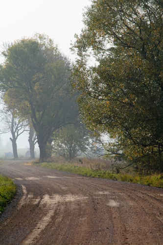 Gratis bilder