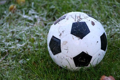 Gratis bilder