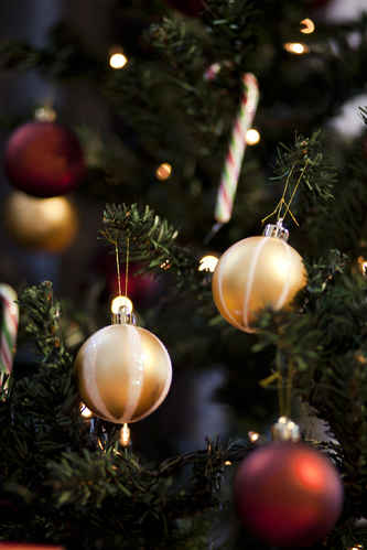 Julgran