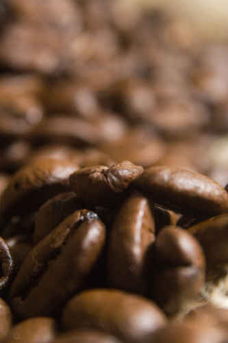 Kaffebönor