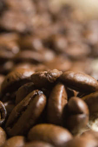 Kaffebönor