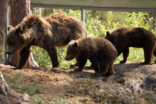 Vykort kolmarden080710