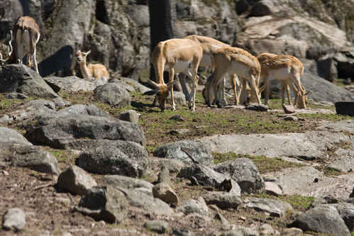 Vykort kolmarden080710