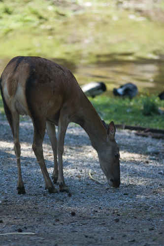Vykort kolmarden080710