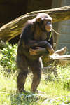 kolmarden080710-89.jpg