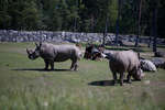kolmarden2080710-22.jpg