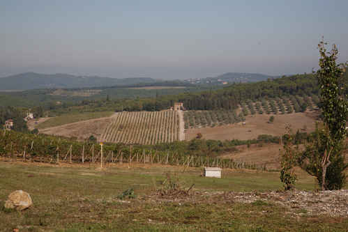 Vin och olivodlingar