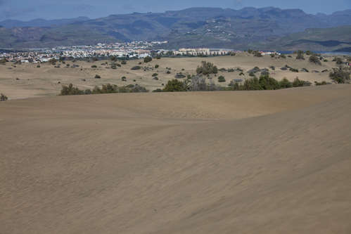 Maspalomas