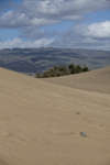 maspalomas110118-5.jpg