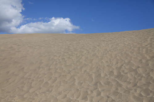Sanddyner