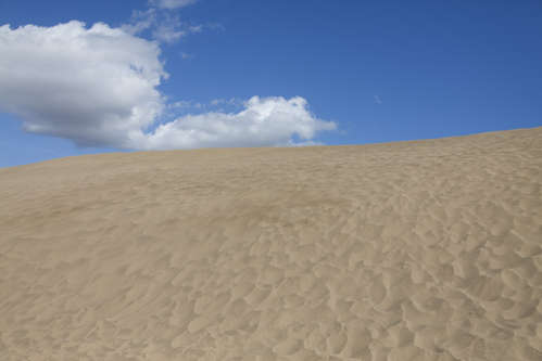 Sanddyner