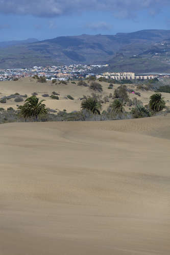 Maspalomas