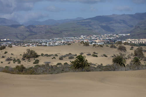 Maspalomas