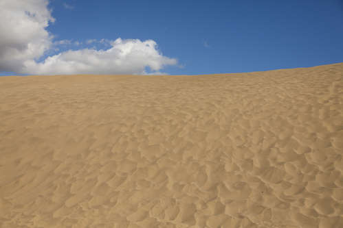 Sanddyner