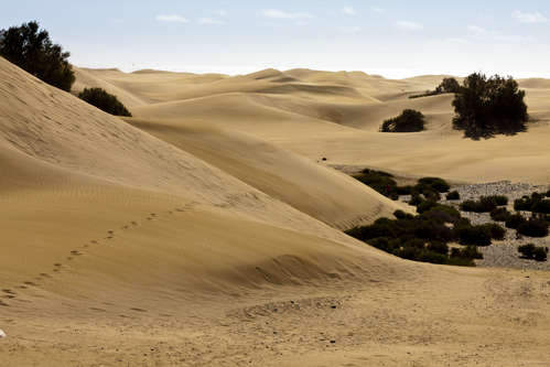 Maspalomas öken