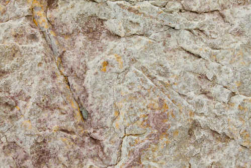Berg