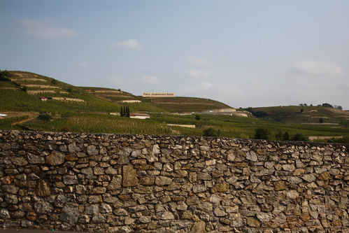 Vinberg i Hermitage
