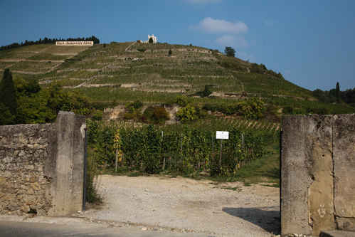 Vinberg i Hermitage