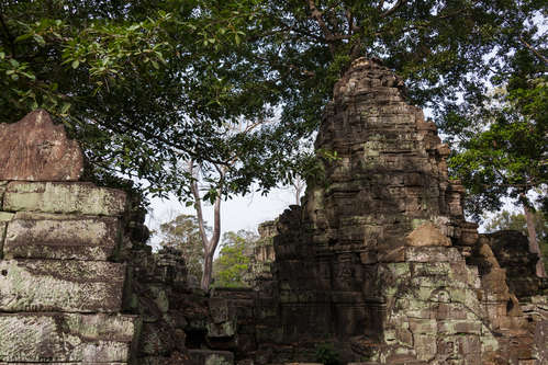 Tempelruiner Ta Prohm