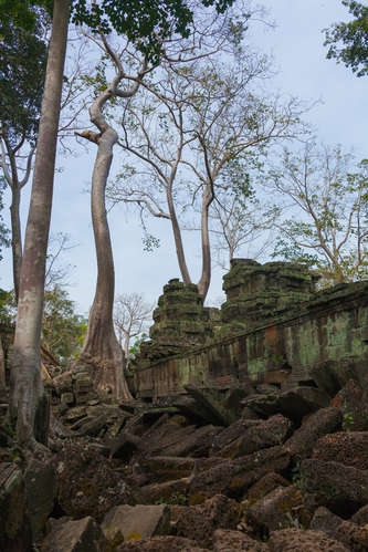 Ta Prohm en tempelruin