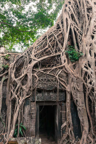 Vykort taprohm130401