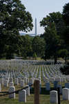 usa-36.jpg