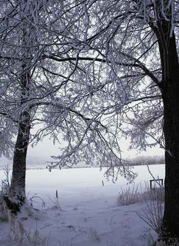 Vinter