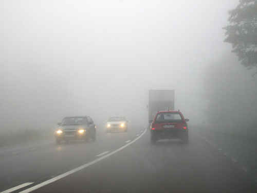 bilväg i dimma