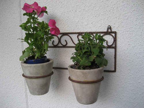 Blommor som sitter på en vägg