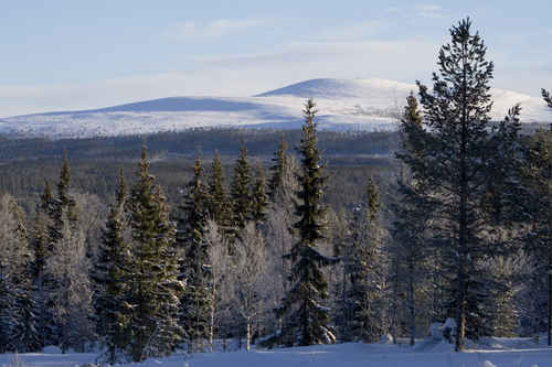 Vykort fjallen