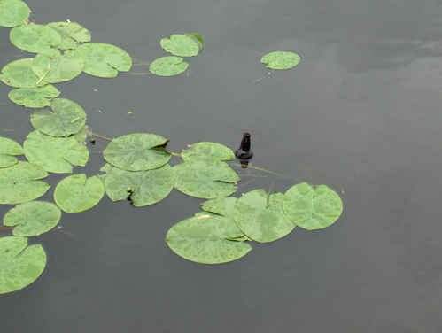 flaskpost