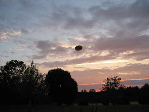 Frisbee som flyger i lufent
